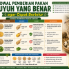 Jadwal Pemberian Pakan Puyuh yang Benar agar Cepat Bertelur