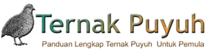 Ternak Puyuh